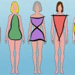body type اندم شناسی