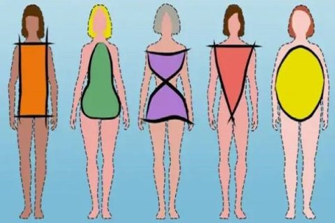 body type اندم شناسی